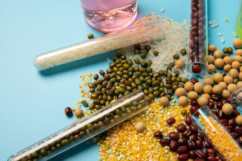 五谷食品安全農(nóng)業(yè)科技食品培育攝影圖 插畫 下載至來源處