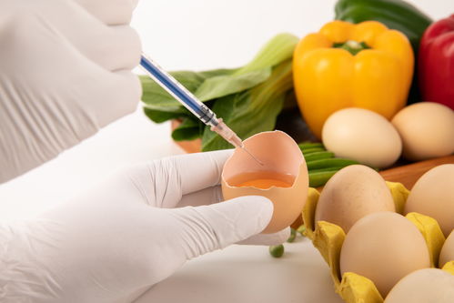 雞蛋食品安全農(nóng)業(yè)科技食品培育攝影圖 插畫(huà) 下載至來(lái)源處
