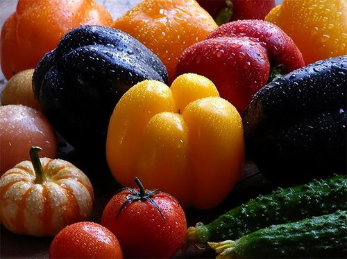 全球近70個(gè)國(guó)家禁止,只有中國(guó)吃轉(zhuǎn)基因 轉(zhuǎn)基因食品到底有害嗎