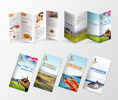 進(jìn)口食品-產(chǎn)品宣傳折頁(yè)